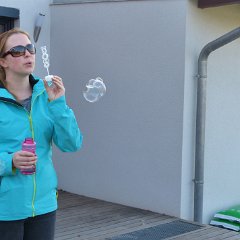 PIC 838